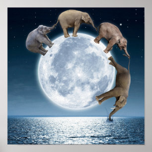 Poster de Fantasia Elefante Moon