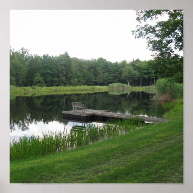 Poster de fazenda (Frente)