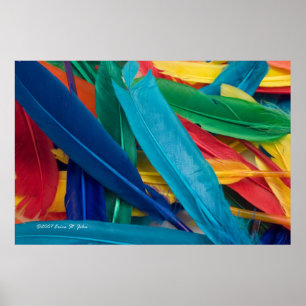 Poster de Featherly