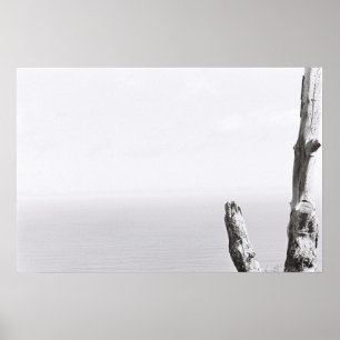 Poster de Filme Monocromático Monocromático de Árv