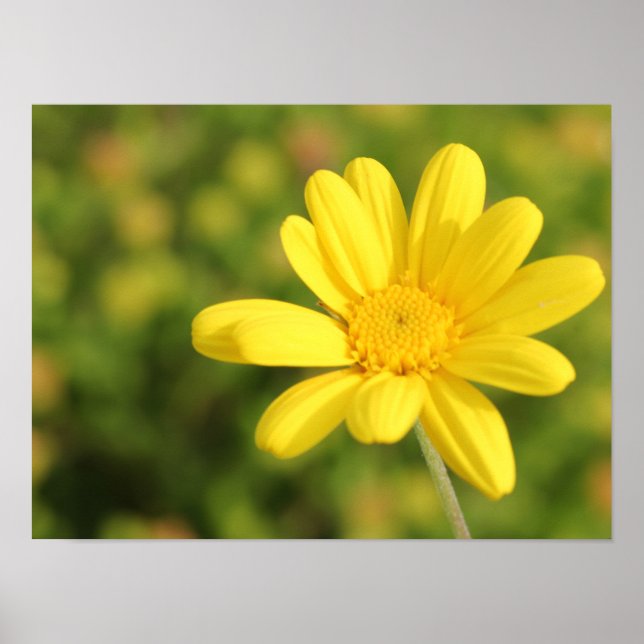 Poster de Flor A3 Amarelo Feliz (Frente)