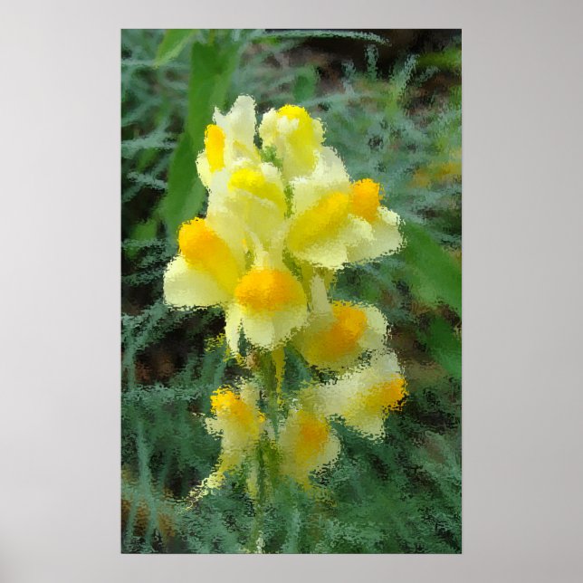 Poster de Flor Amarelo (Frente)