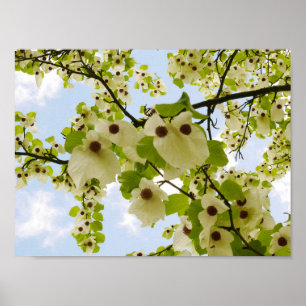 Poster de Flor de Foco com Teclado