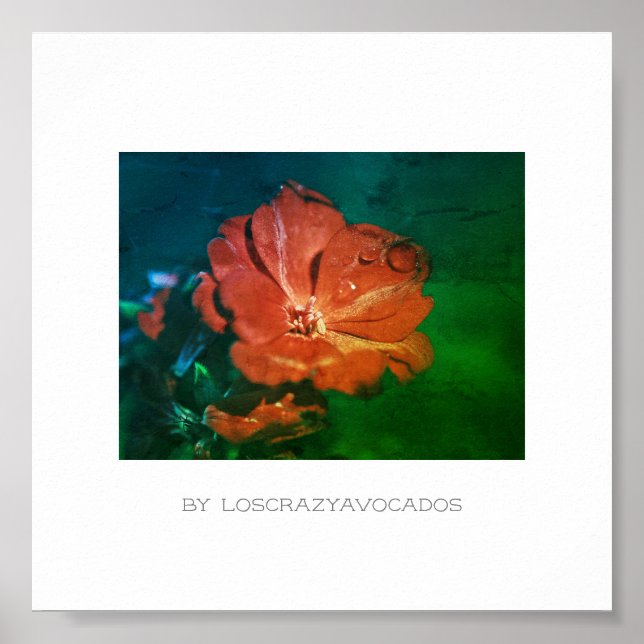 Poster de Flor de Gerânio Vermelho Verde Estilizad (Frente)