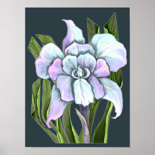 Poster de flor de Smeraldo