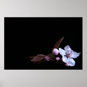 Poster de Flor Delicado