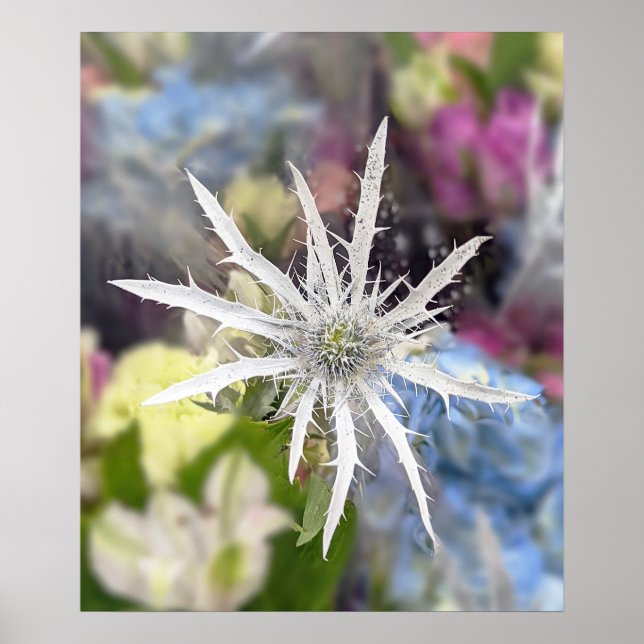 Poster de Flor Único (Frente)