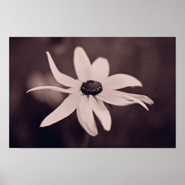 poster de flores (Frente)