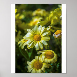 Poster de flores amarelas