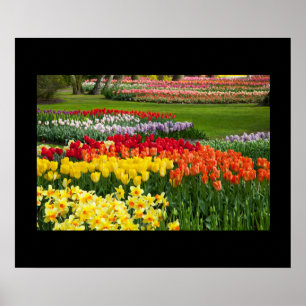 Poster de Flores de Jardim