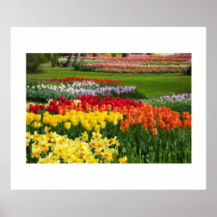 Poster de Flores de Jardim