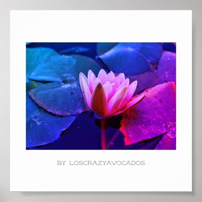 Poster de Flores de Linho de Água Rosa Estilizadas (Frente)