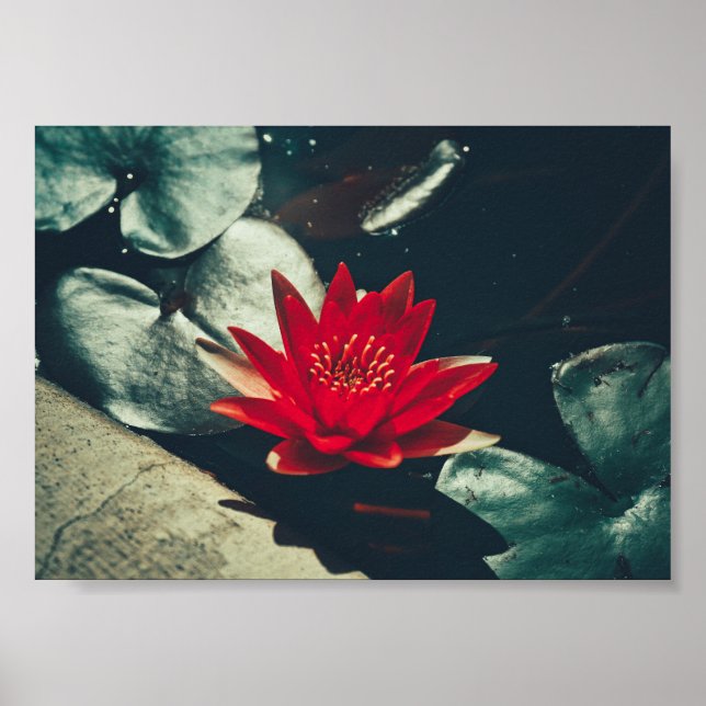 Poster de Flores de Linho de Água Verde Estilizada (Frente)
