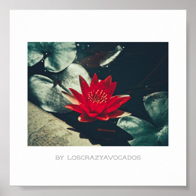 Poster de Flores de Linho de Água Verde Estilizada (Frente)