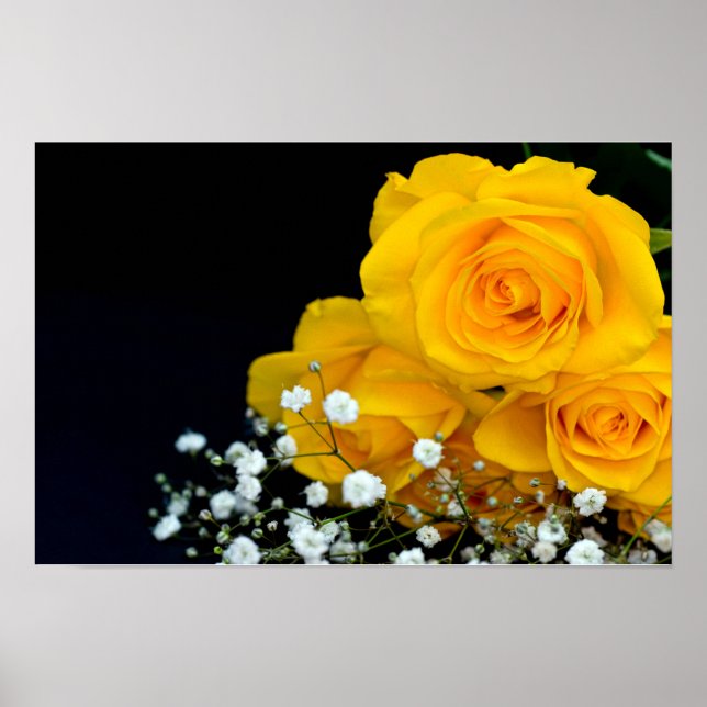 Poster de flores de rosas amarelas (Frente)