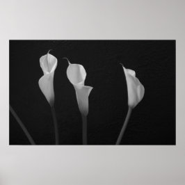 Poster de Flores Pretas e Brancas