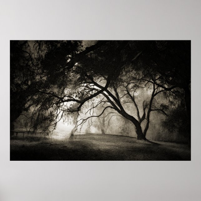 POSTER DE FLORESTA DO GRIMM (Frente)