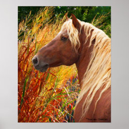 poster de "Fogo Selvagem"