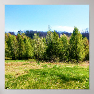 Poster de foto da paisagem da árvore russa