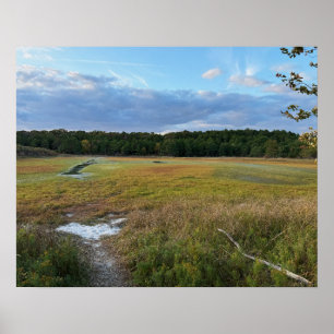 Poster de Foto de Campo de Outono