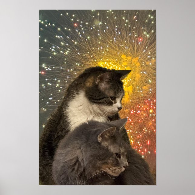 Poster de Foto de Gats (Frente)