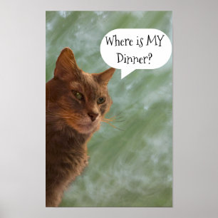 Poster de Foto Gato Engraçado