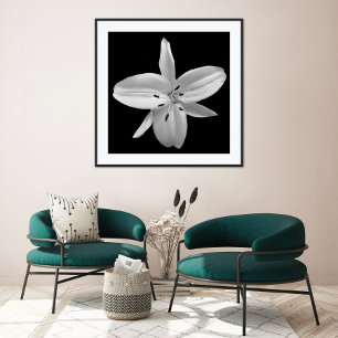 Poster de Fotografia da Flor Preta e Branca