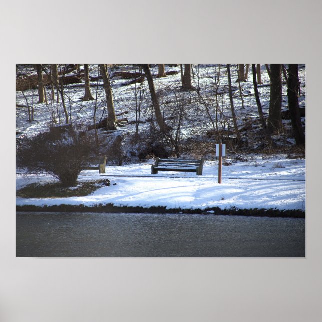 Poster de Fotografia da Paisagem do Inverno (Frente)