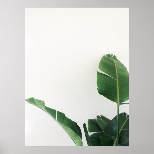 Poster de Fotografia de Plantas Tropicais de Paraí (Frente)