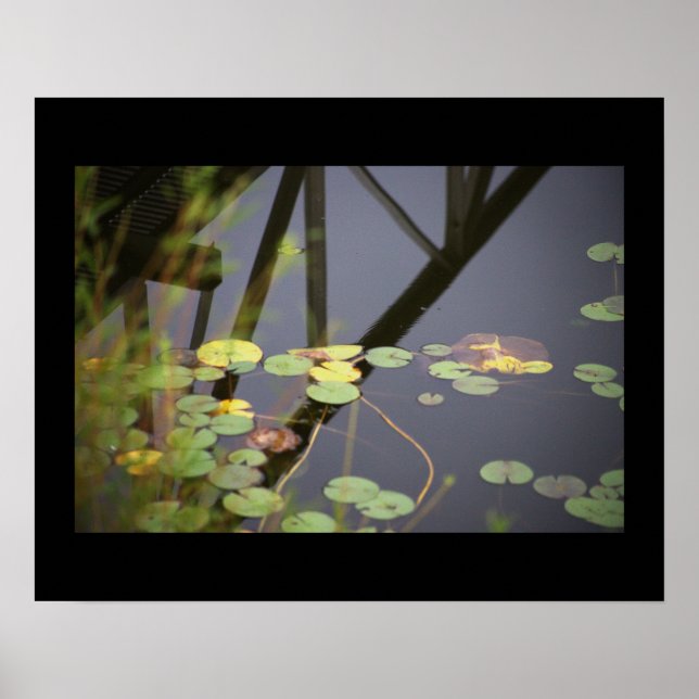Poster de Fotografia de Waterlily (Frente)