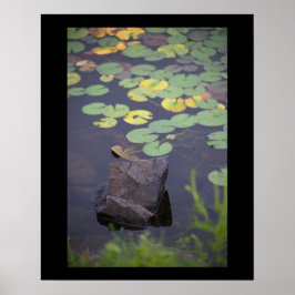 Poster de Fotografia de Waterlily