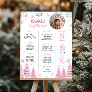 Poster de Fotografia do Milestone do Floco de Neve