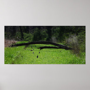 Poster de Fotografia em Árvore de Fallen