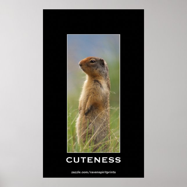 Poster de Fotografia Motivacional Marmot Wildlife (Frente)