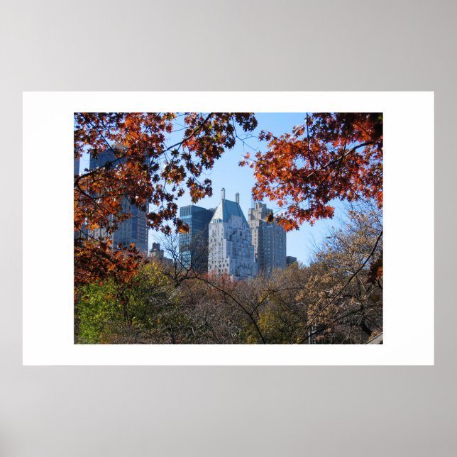 Poster de fotografia NYC DO PARQUE CENTRAL (Frente)
