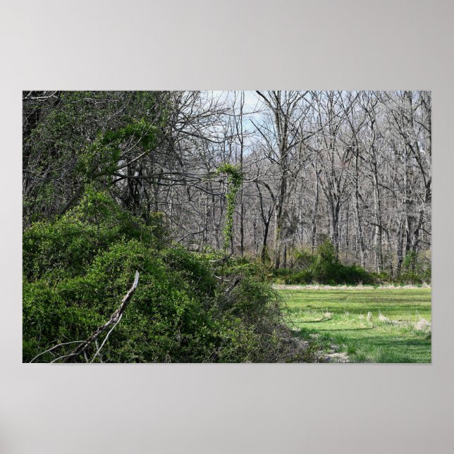 Poster de Fotografia Paisagem (Frente)