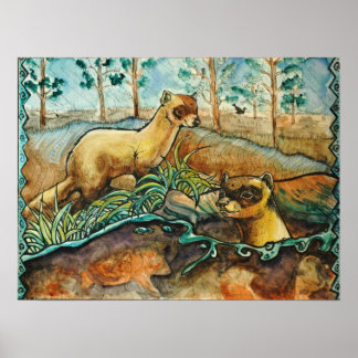 Poster de Furões de Pé Negra