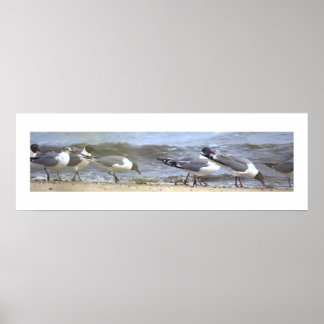 Poster de gaivotas à beira-mar