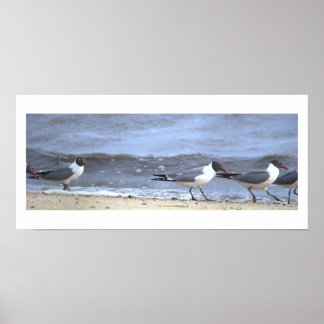 Poster de gaivotas à beira-mar