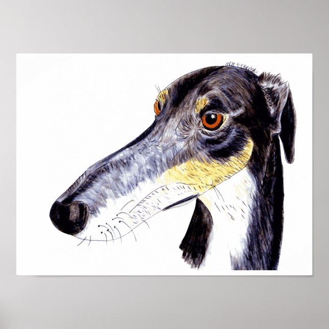 Poster de galgo-quintal (Frente)