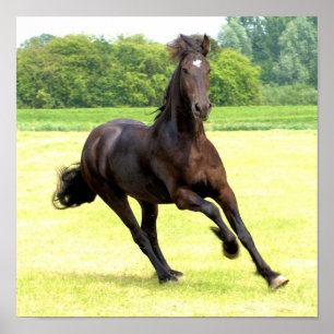 Poster de galope do cavalo