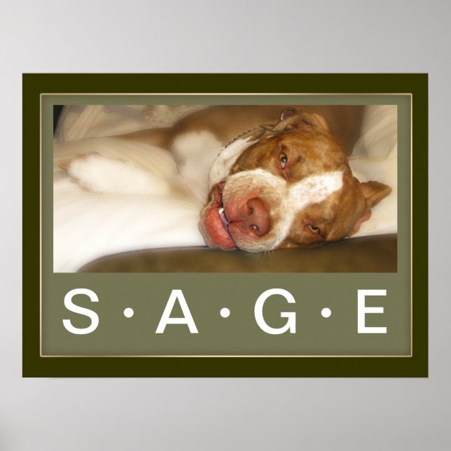 Poster de Garota Sonolenta (Frente)