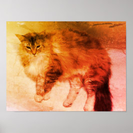Poster de gato