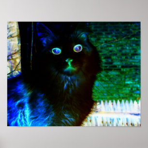 Poster de gato assustador