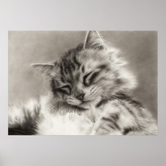 Poster de Gato de Casca Principal de Cabeça Sonole