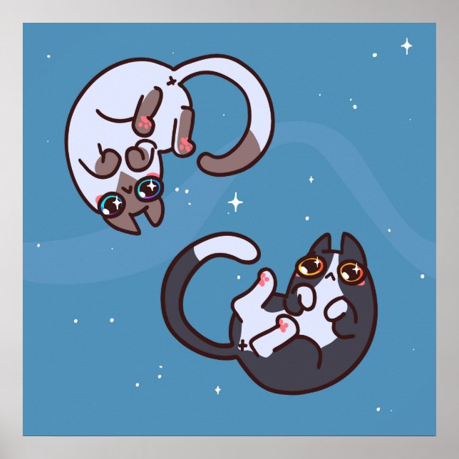 Poster de Gato de Pop (Frente)