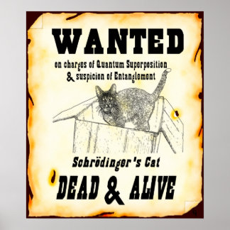Poster de Gato de Schrodinger