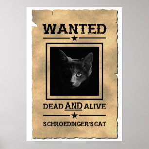 Poster de Gato de Schroedinger Piada física