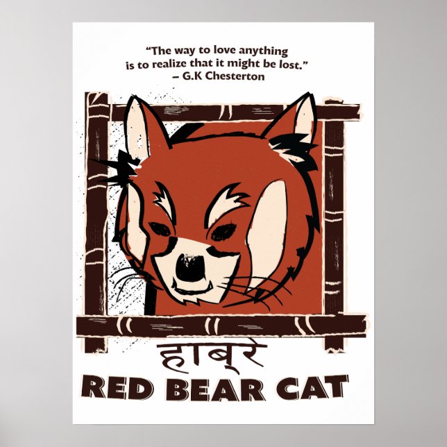 Poster de Gato de Urso Vermelho (Frente)