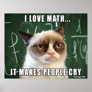 Poster de Gato Engraçado - Adoro matemática, faz a